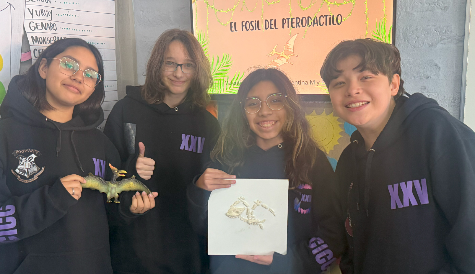 Recurso 39